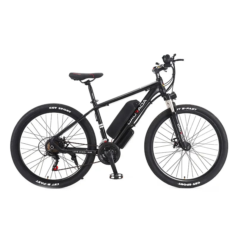 Manufacturer Wholesale Good Quality E Bike Mountain Bike Cheap Price Customized 36V/48V/250W/350W/500W Bicycle Electric Bicycle