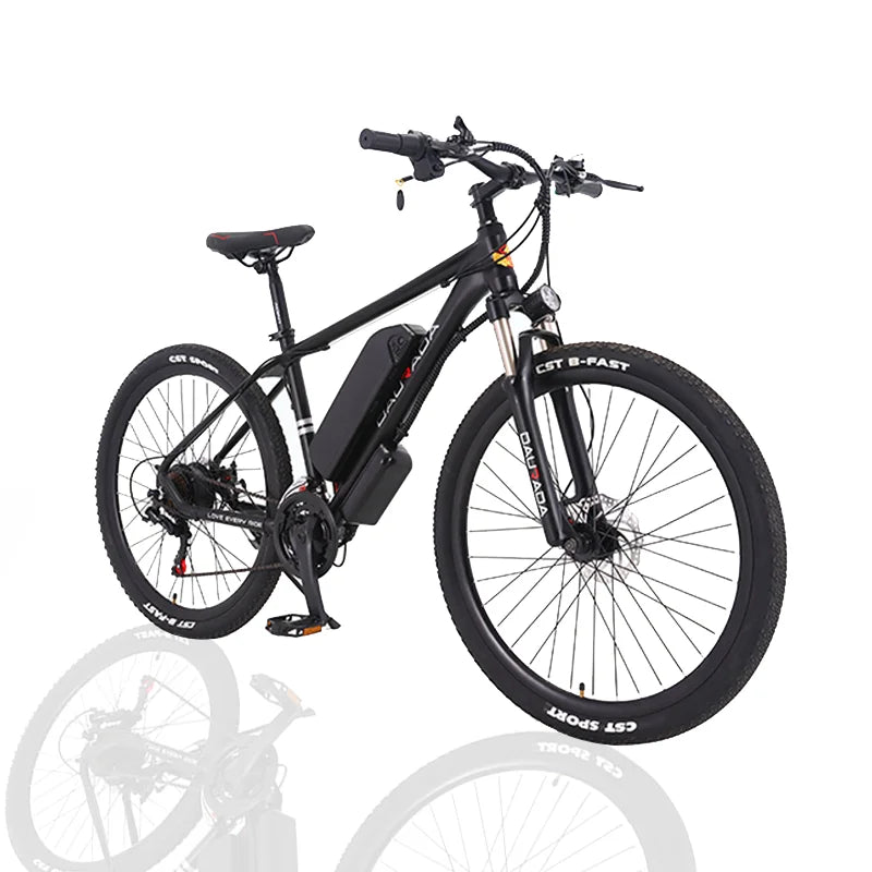 Manufacturer Wholesale Good Quality E Bike Mountain Bike Cheap Price Customized 36V/48V/250W/350W/500W Bicycle Electric Bicycle