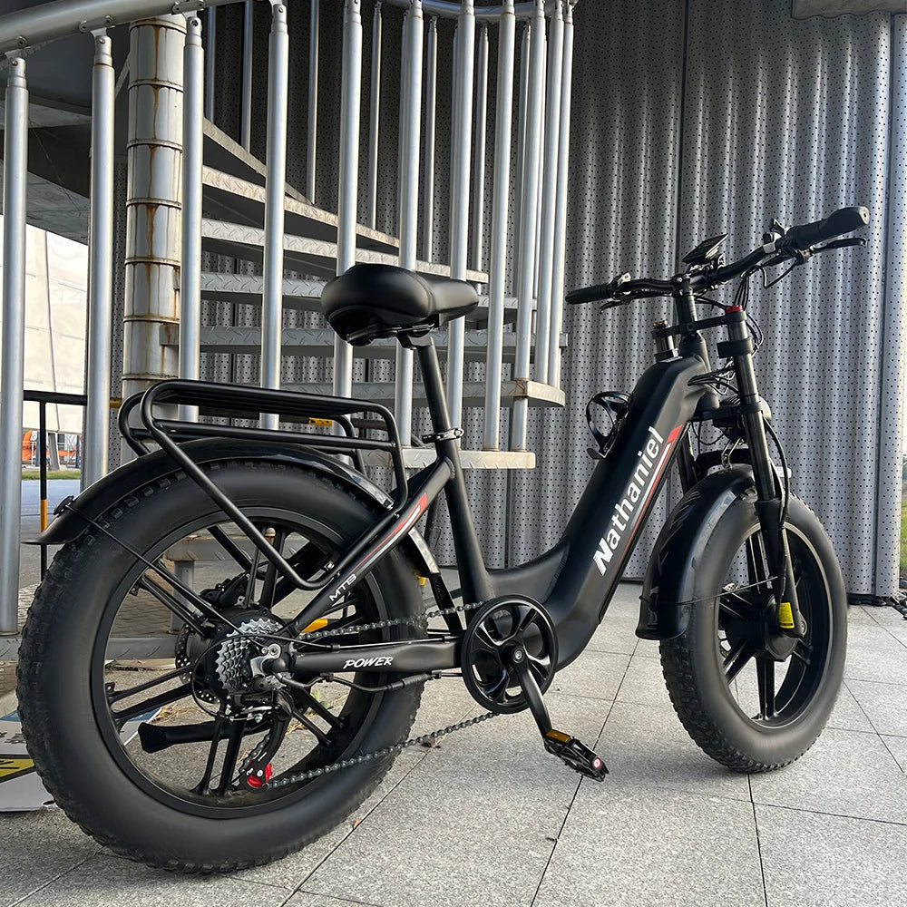 Dual Drive Integrated Wheel E-Bike 2000W 20x4.0 Tire 48V20AH for Urban Commuting & Off-Road Snow/Sand