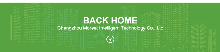 E-bike 350w 500w 48v 10Ah 20Ah Cheap Electric Moped Electric Bicycle for Commuting