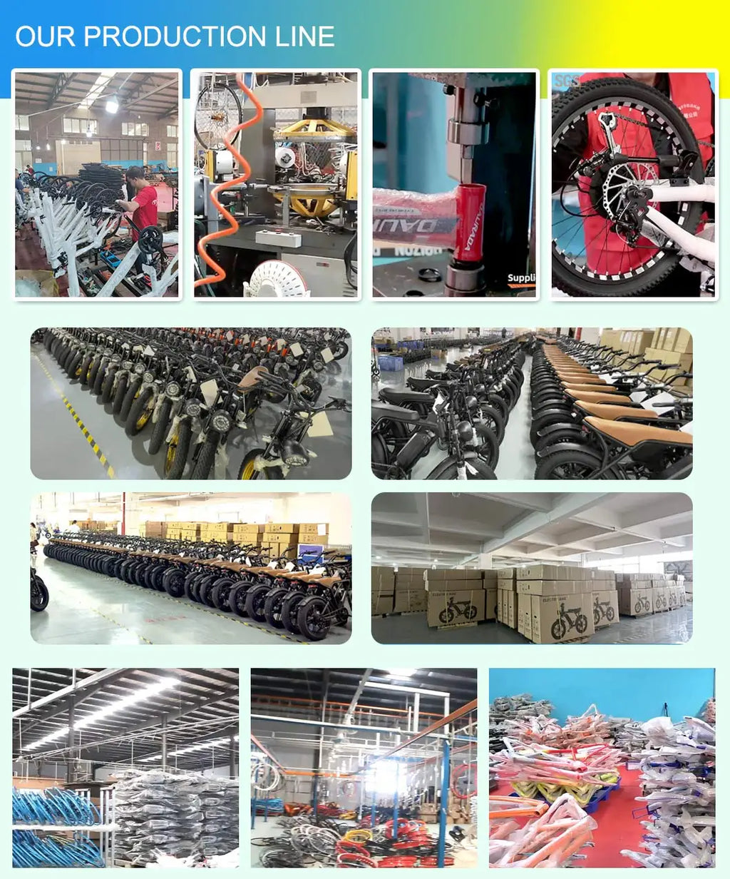 Manufacturer Wholesale Good Quality E Bike Mountain Bike Cheap Price Customized 36V/48V/250W/350W/500W Bicycle Electric Bicycle