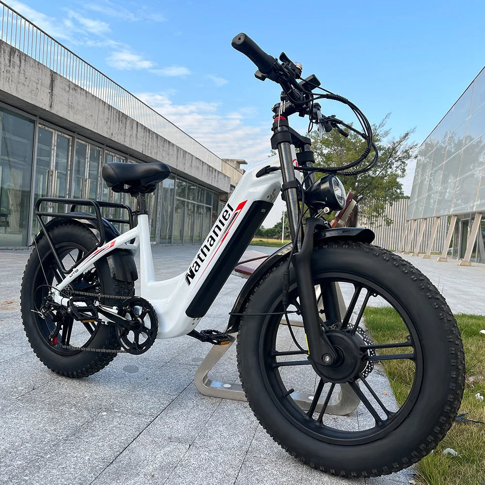 Dual Drive Integrated Wheel E-Bike 2000W 20x4.0 Tire 48V20AH for Urban Commuting & Off-Road Snow/Sand