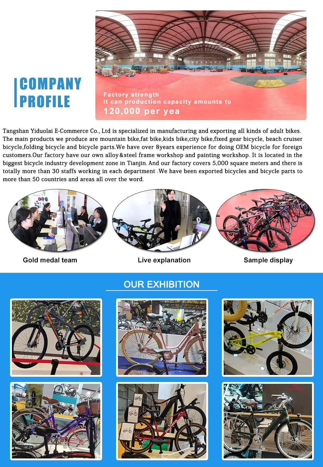 Manufacturer Wholesale Good Quality E Bike Mountain Bike Cheap Price Customized 36V/48V/250W/350W/500W Bicycle Electric Bicycle