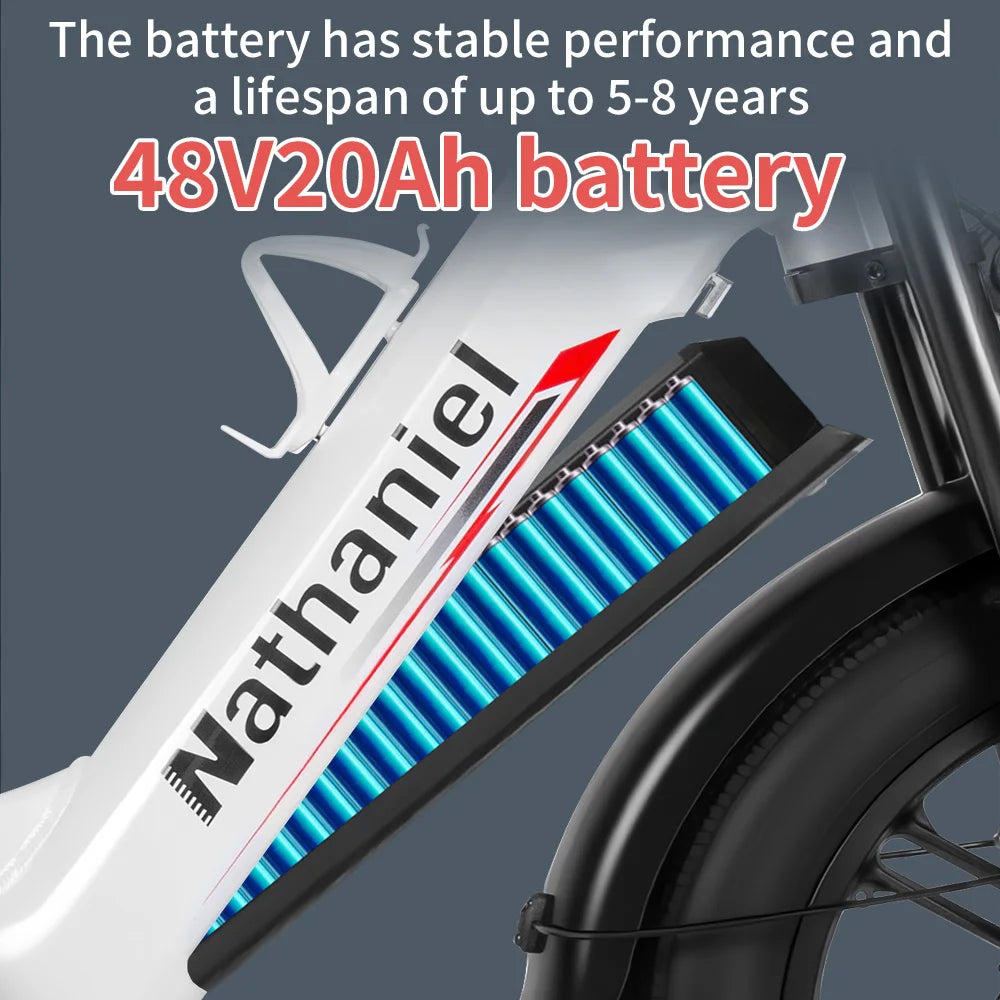 Dual Drive Integrated Wheel E-Bike 2000W 20x4.0 Tire 48V20AH for Urban Commuting & Off-Road Snow/Sand