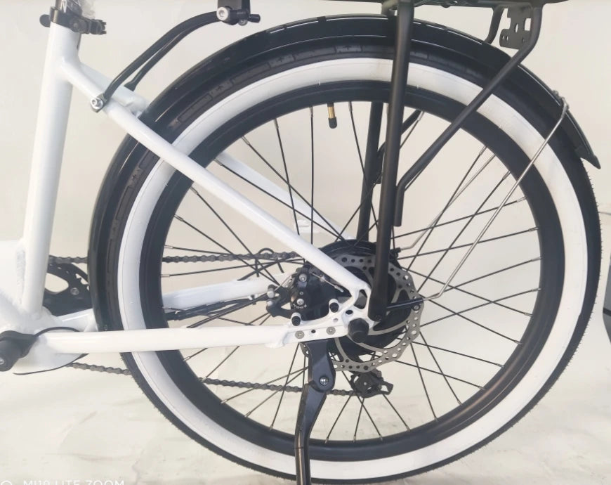 Eco-Friendly Transportation Daily Commute Bike Urban Bike