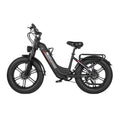 Dual Drive Integrated Wheel E-Bike 2000W 20x4.0 Tire 48V20AH for Urban Commuting & Off-Road Snow/Sand