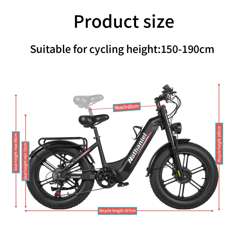 Dual Drive Integrated Wheel E-Bike 2000W 20x4.0 Tire 48V20AH for Urban Commuting & Off-Road Snow/Sand