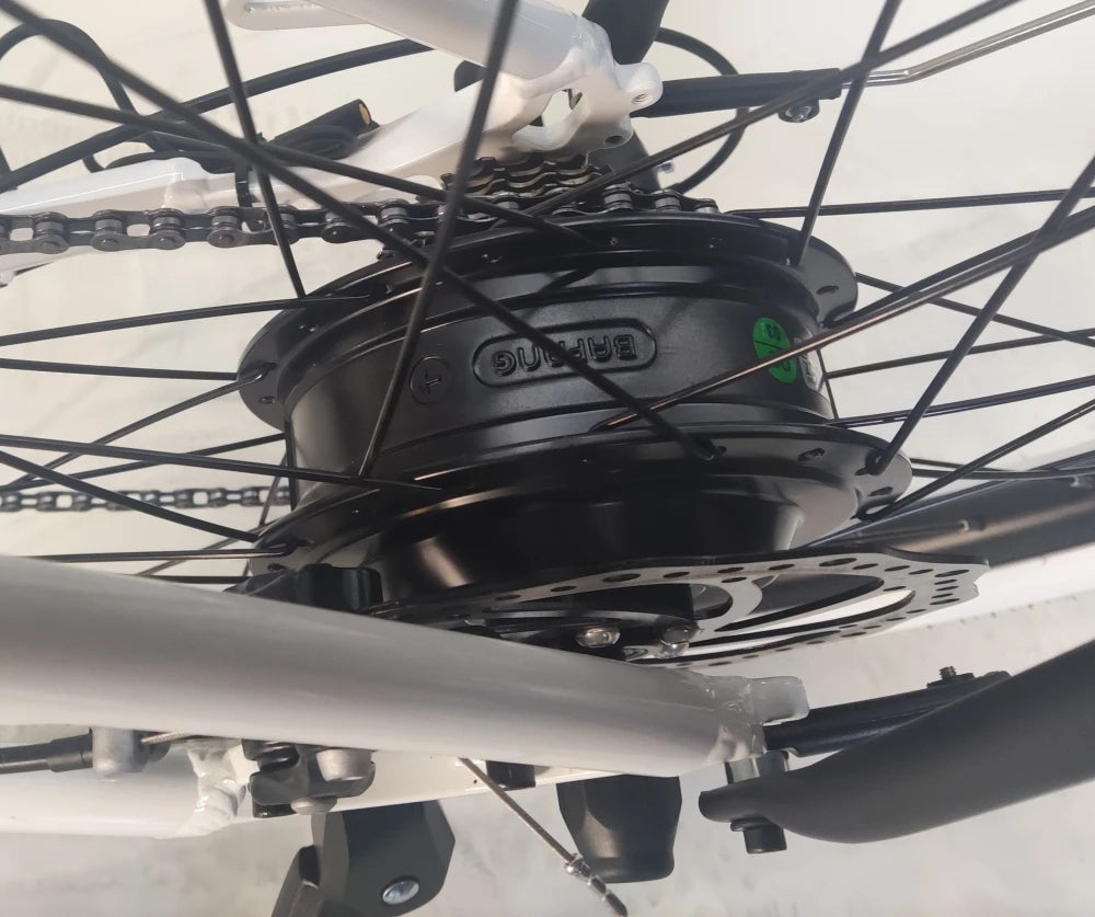 Eco-Friendly Transportation Daily Commute Bike Urban Bike