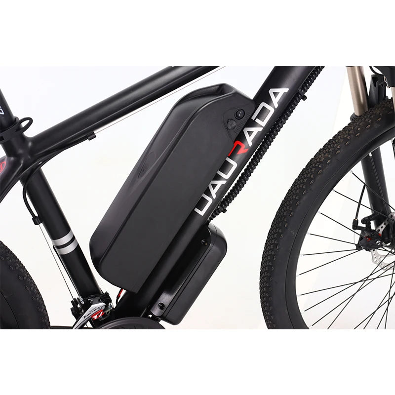 Manufacturer Wholesale Good Quality E Bike Mountain Bike Cheap Price Customized 36V/48V/250W/350W/500W Bicycle Electric Bicycle