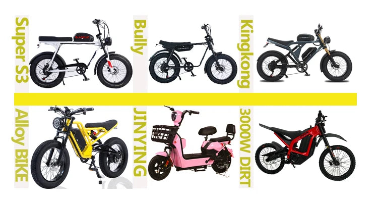 Manufacturer Wholesale Good Quality E Bike Mountain Bike Cheap Price Customized 36V/48V/250W/350W/500W Bicycle Electric Bicycle