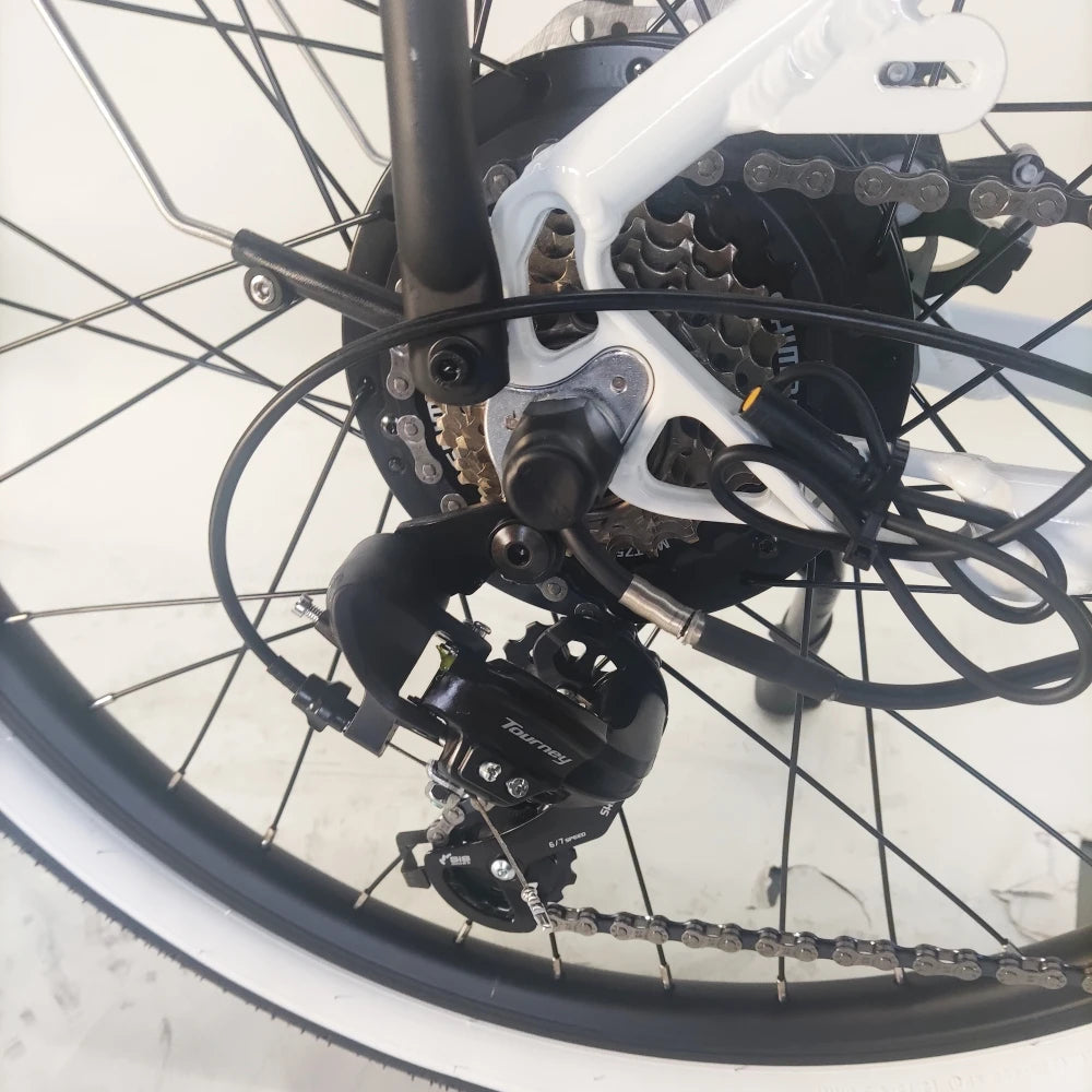 Eco-Friendly Transportation Daily Commute Bike Urban Bike