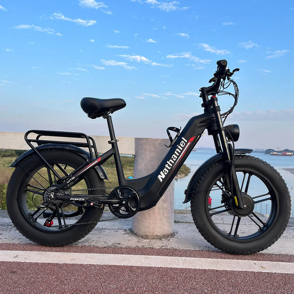 Dual Drive Integrated Wheel E-Bike 2000W 20x4.0 Tire 48V20AH for Urban Commuting & Off-Road Snow/Sand
