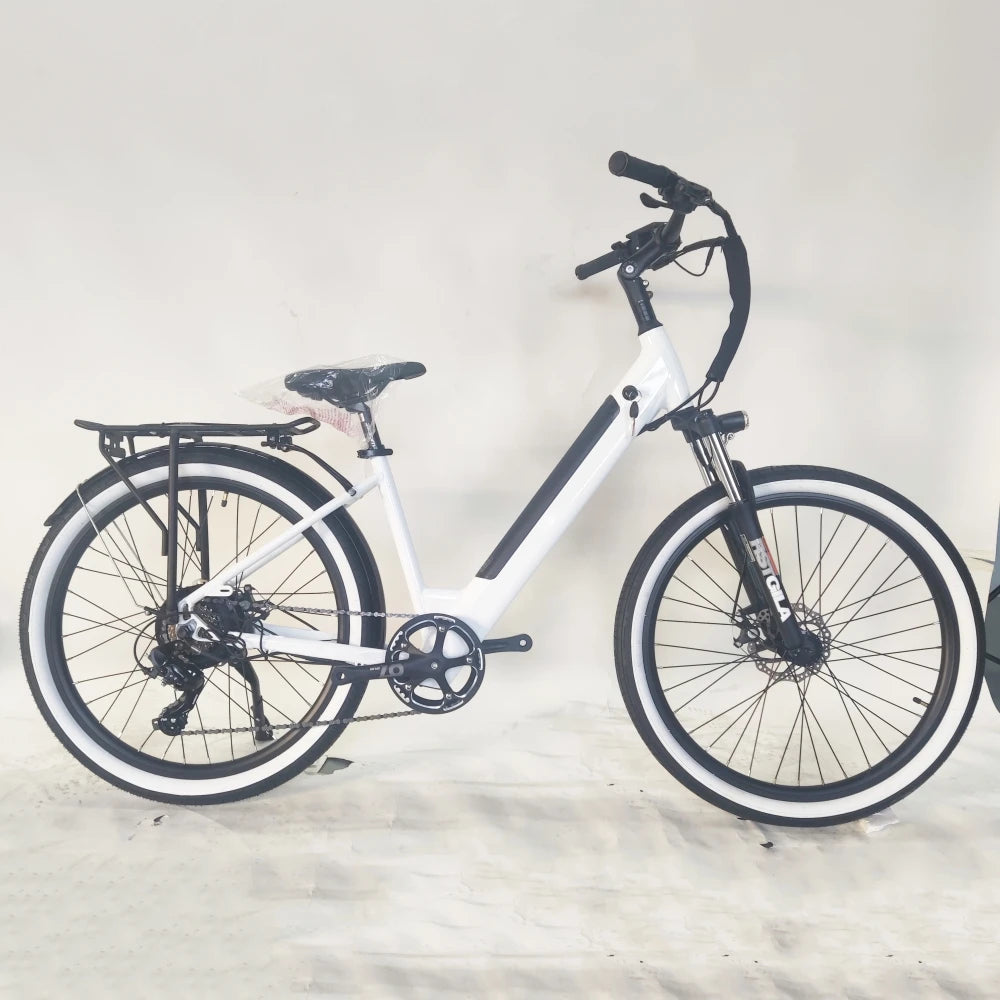 Eco-Friendly Transportation Daily Commute Bike Urban Bike