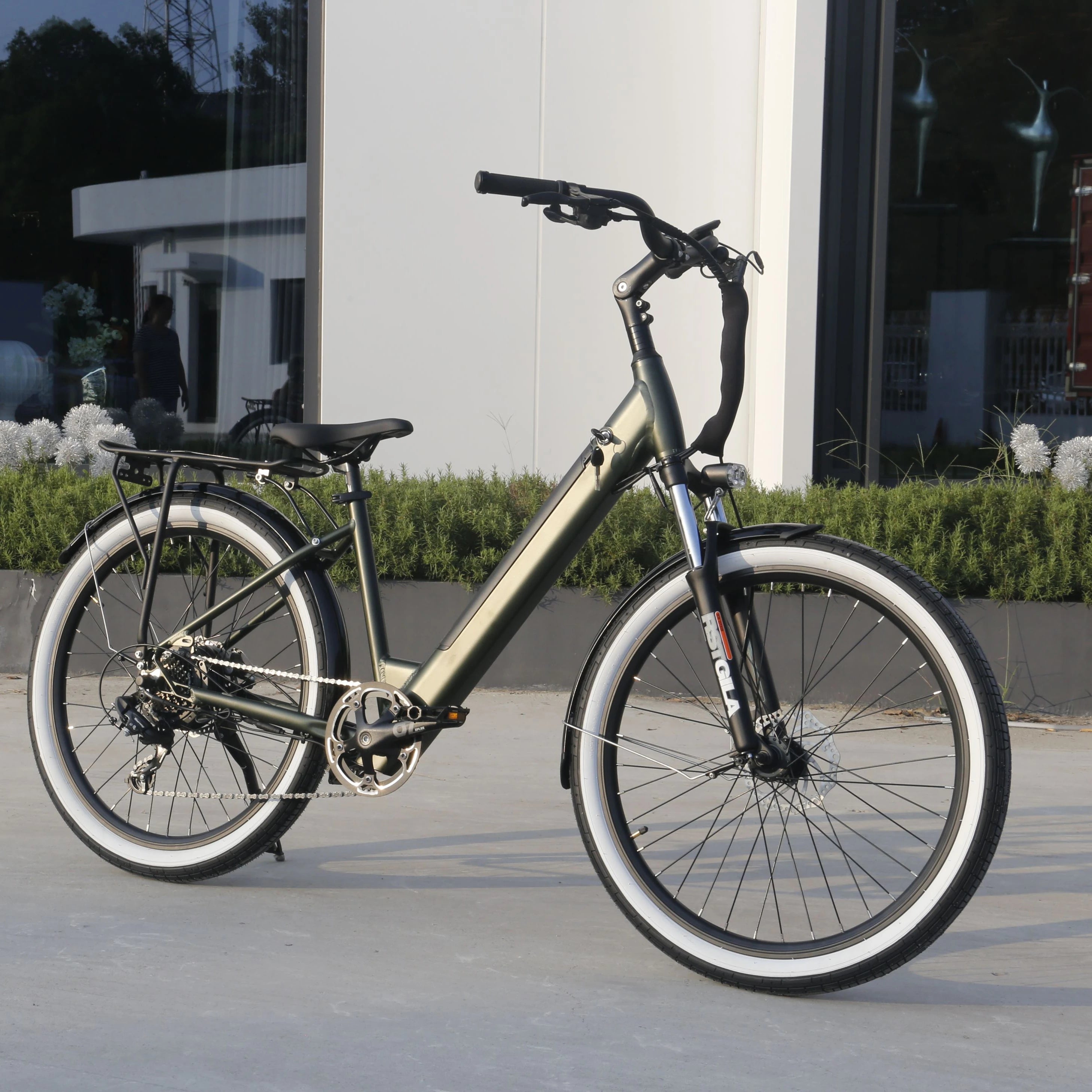 Eco-Friendly Transportation Daily Commute Bike Urban Bike