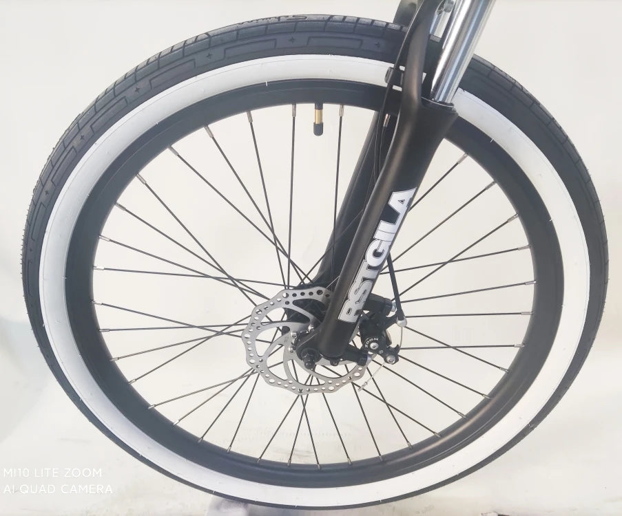 Eco-Friendly Transportation Daily Commute Bike Urban Bike