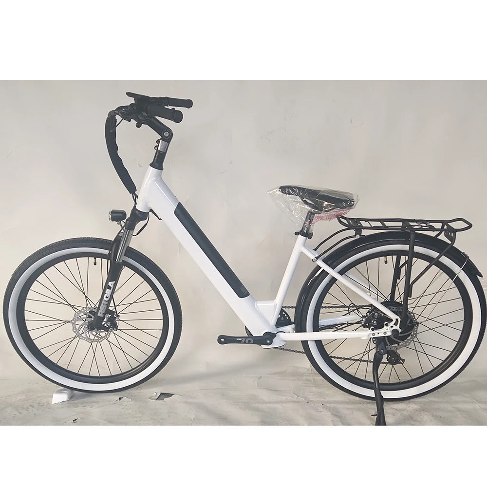 Eco-Friendly Transportation Daily Commute Bike Urban Bike