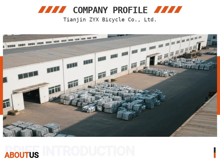 Off Road 29 Inch Large 1000W Dual Motor Electric Mountain Bike Full Suspension E Bike