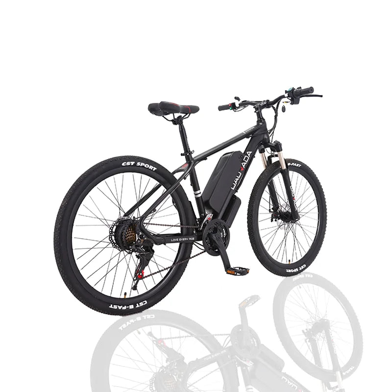 Manufacturer Wholesale Good Quality E Bike Mountain Bike Cheap Price Customized 36V/48V/250W/350W/500W Bicycle Electric Bicycle