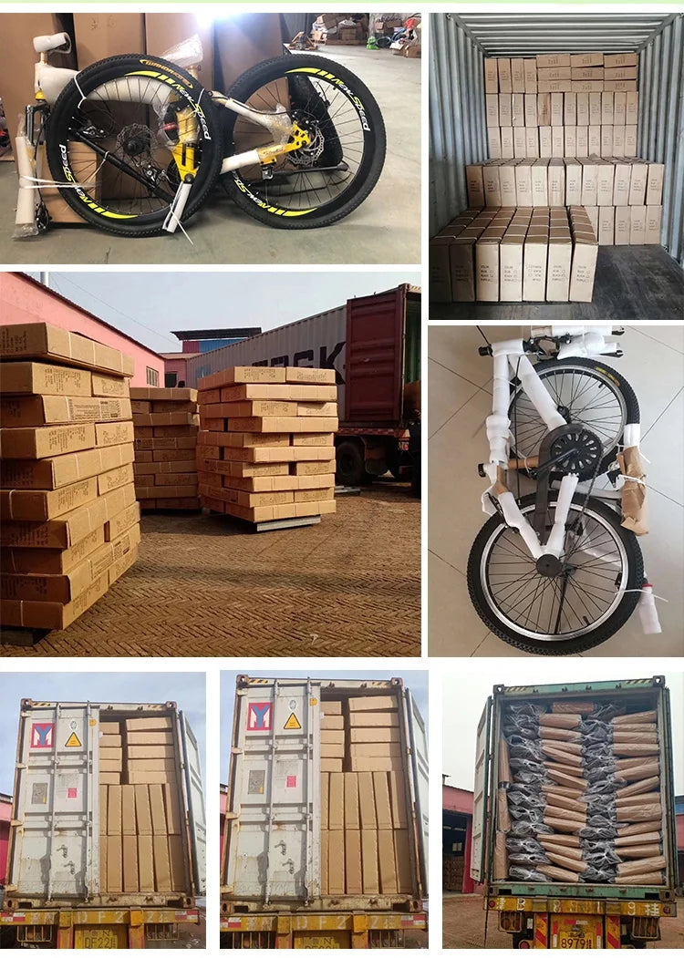 Off Road 29 Inch Large 1000W Dual Motor Electric Mountain Bike Full Suspension E Bike