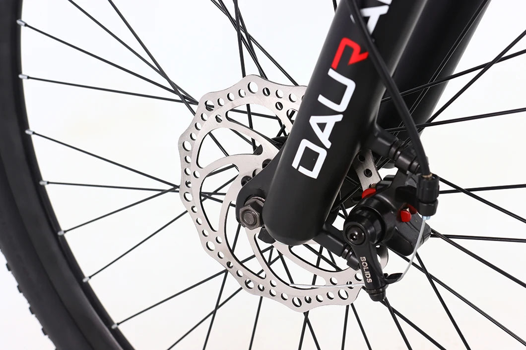 Manufacturer Wholesale Good Quality E Bike Mountain Bike Cheap Price Customized 36V/48V/250W/350W/500W Bicycle Electric Bicycle