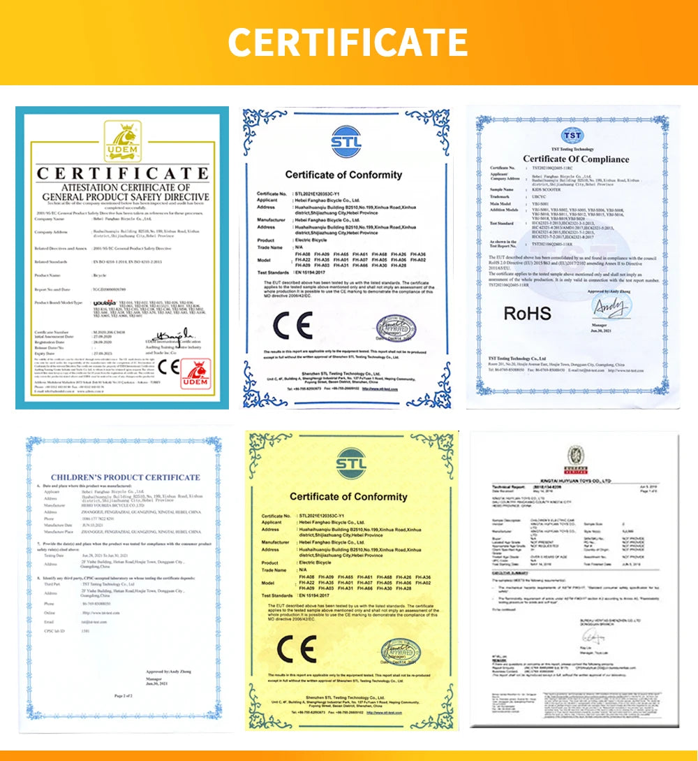 Off Road 29 Inch Large 1000W Dual Motor Electric Mountain Bike Full Suspension E Bike