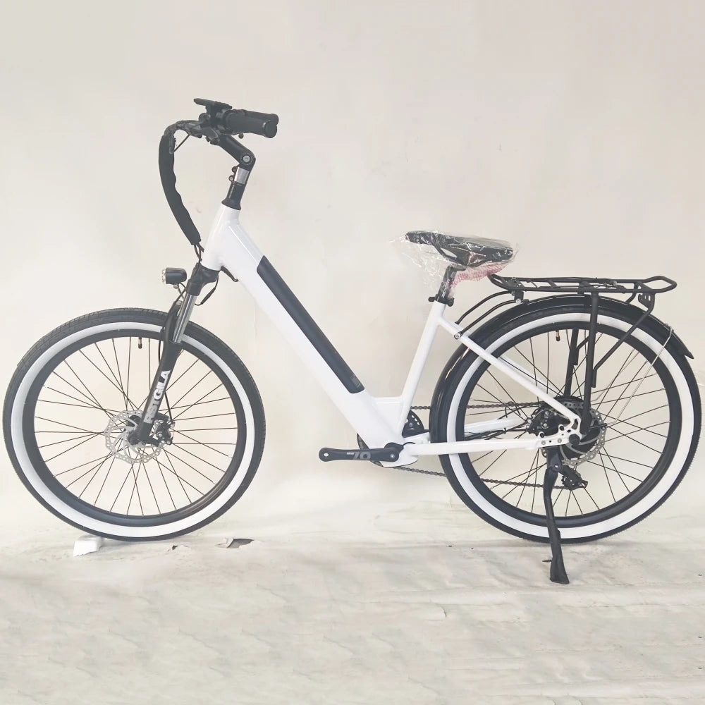 Eco-Friendly Transportation Daily Commute Bike Urban Bike