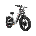 Nathaniel SYR08 2000W Dual Motor E-Bike,20*4.0 Fat Tire,20AH Detachable battery,Speed 50+,Daily commuting, Adult Electric Bike